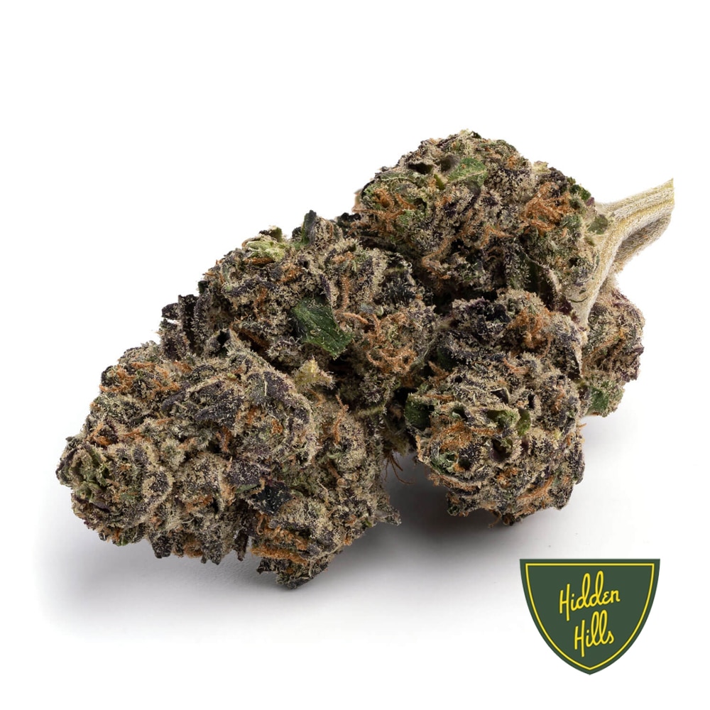 Blueberry-Muffins-HH-final-1