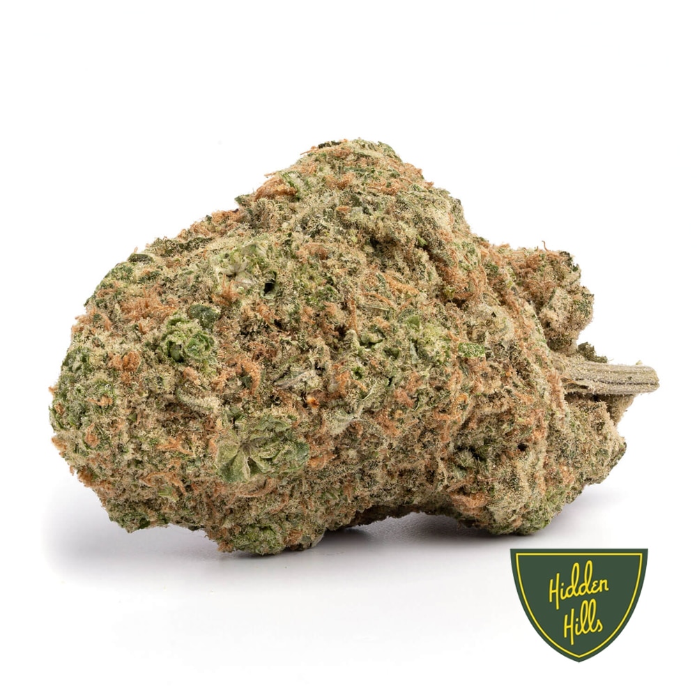 Dutch-Treat-HH-final-1