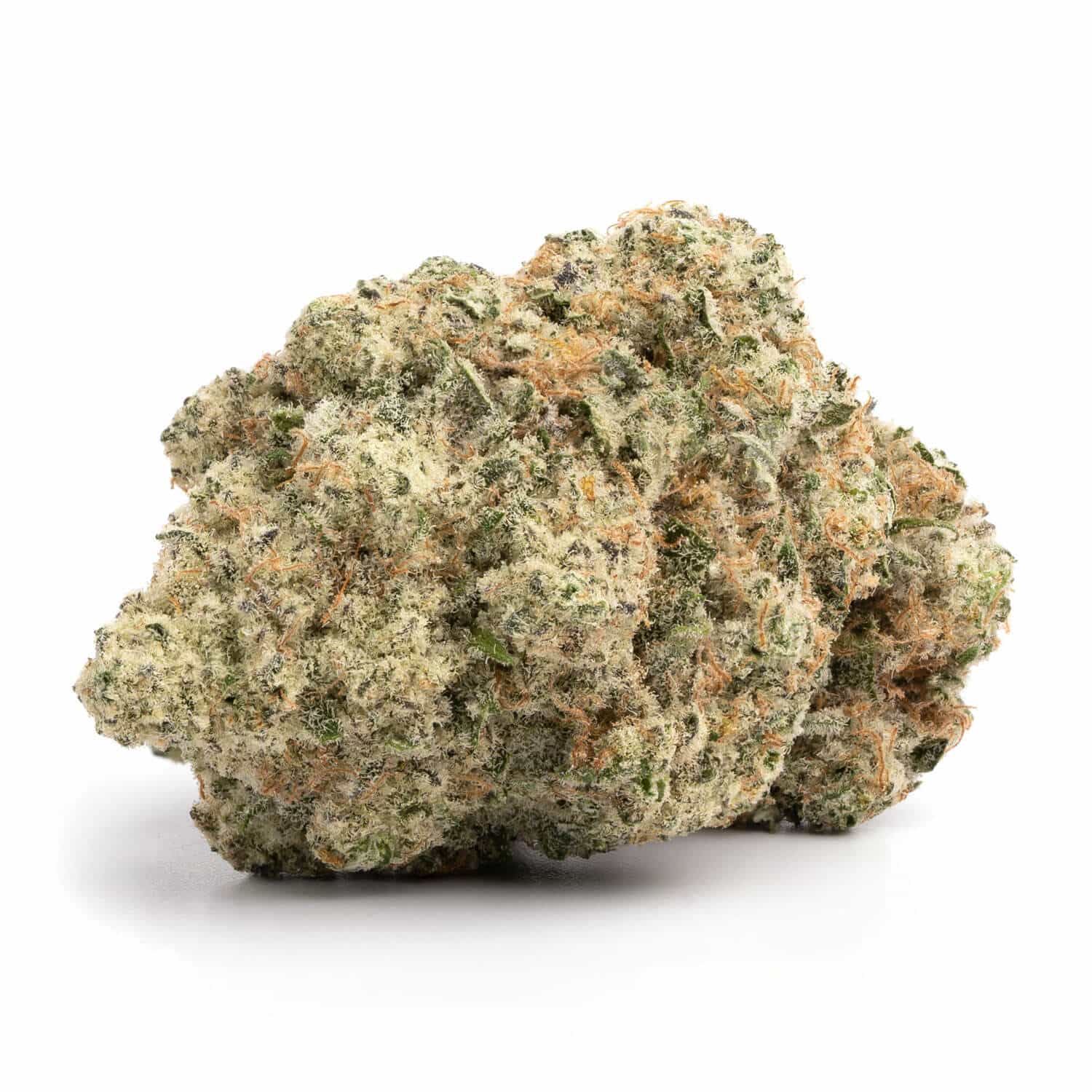 biscotti-nug1